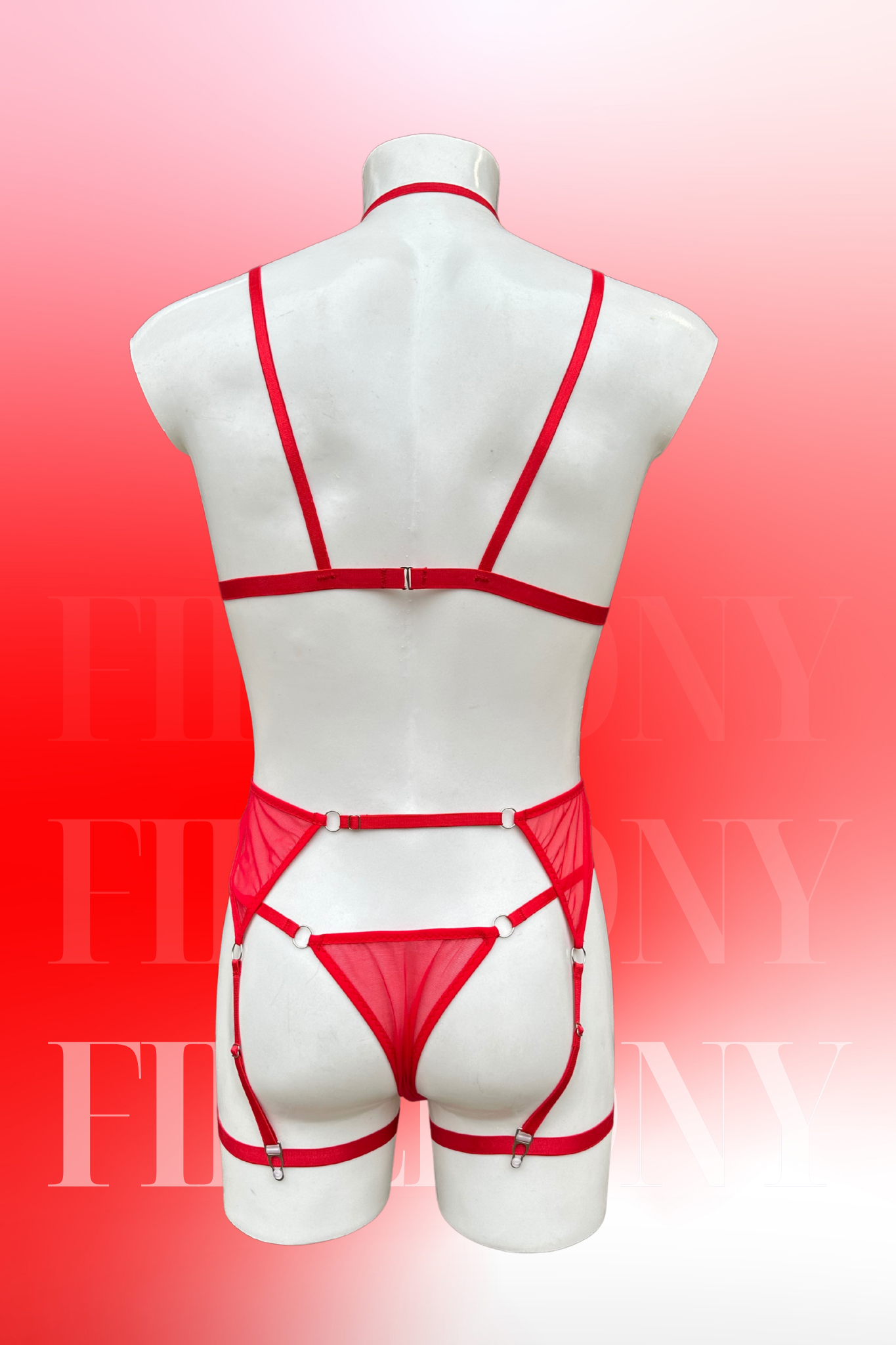 Back view of the set showing the thong and adjustable garter harness.