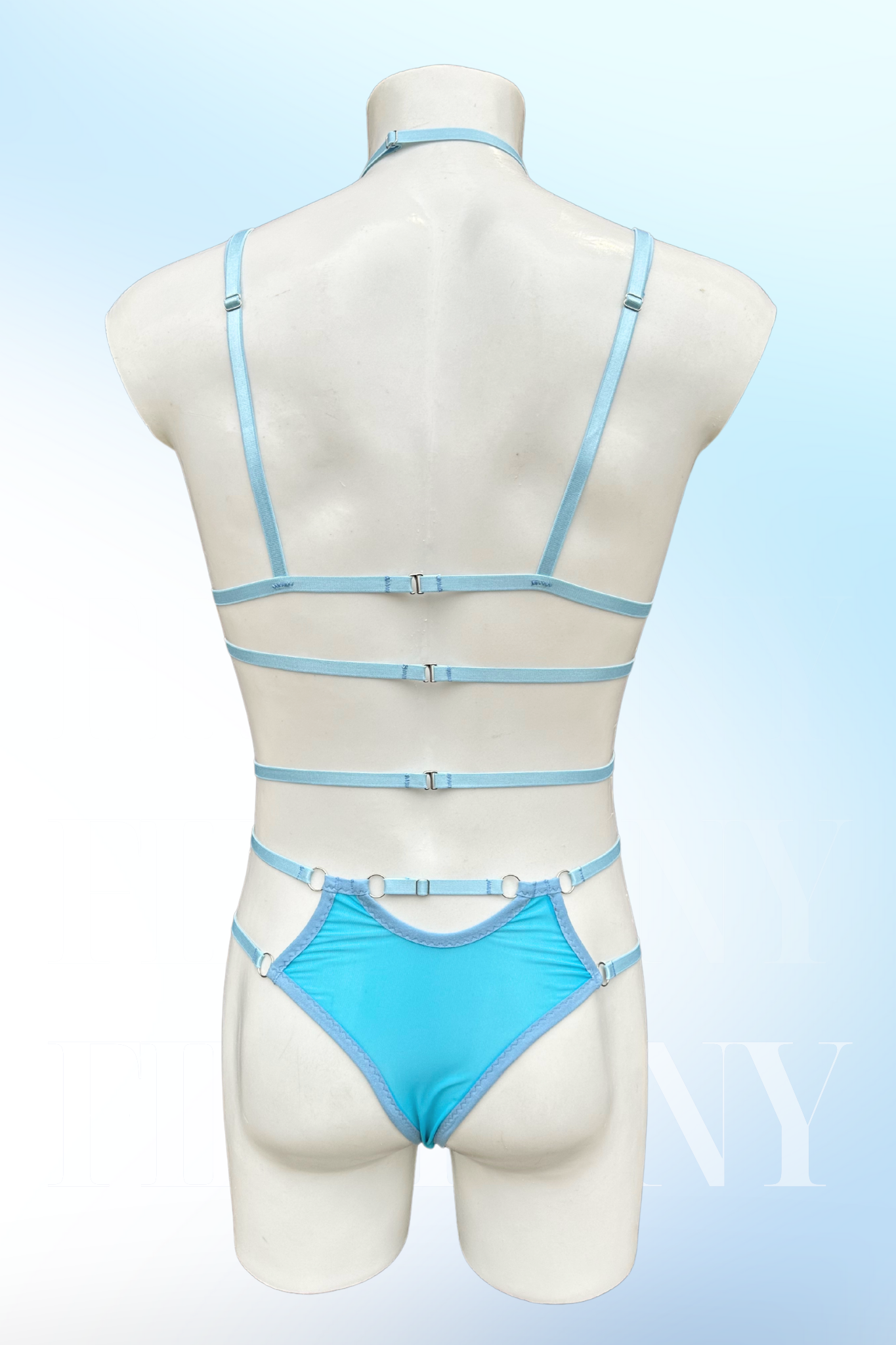 Back view of light blue gay lingerie set with adjustable straps and matching panties.